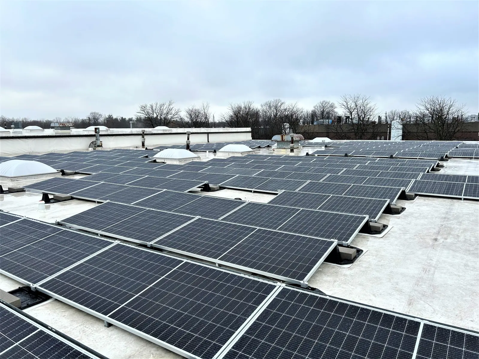 Roof Mounted Solar Panels